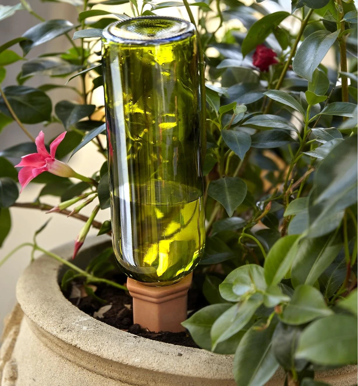 Set Of 4 Terra Cotta Watering Spikes 3 Set Of 4 Terra Cotta Watering Spikes