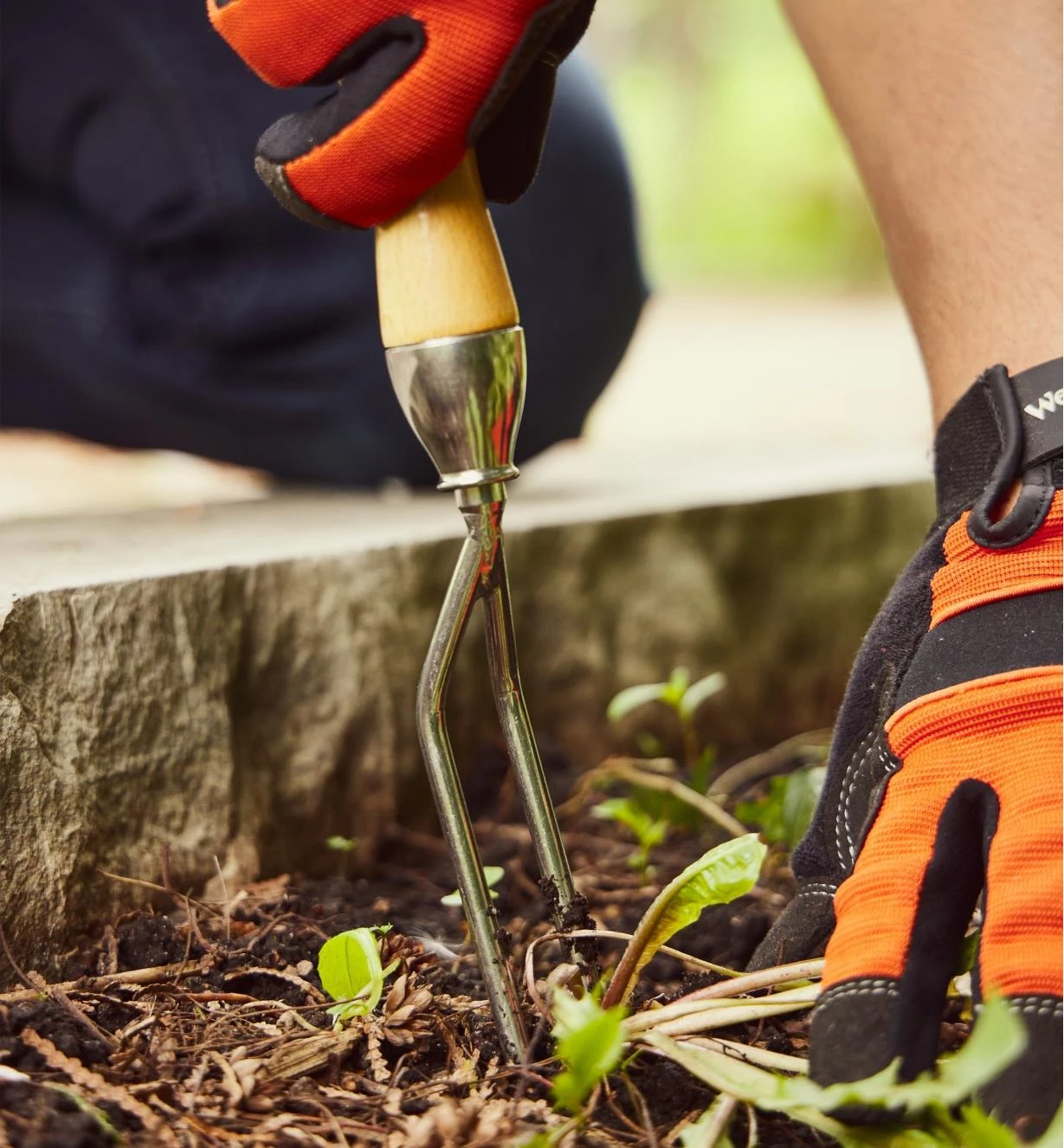 Lee Valley Jekyll Weeder 3 Lee Valley Jekyll Weeder