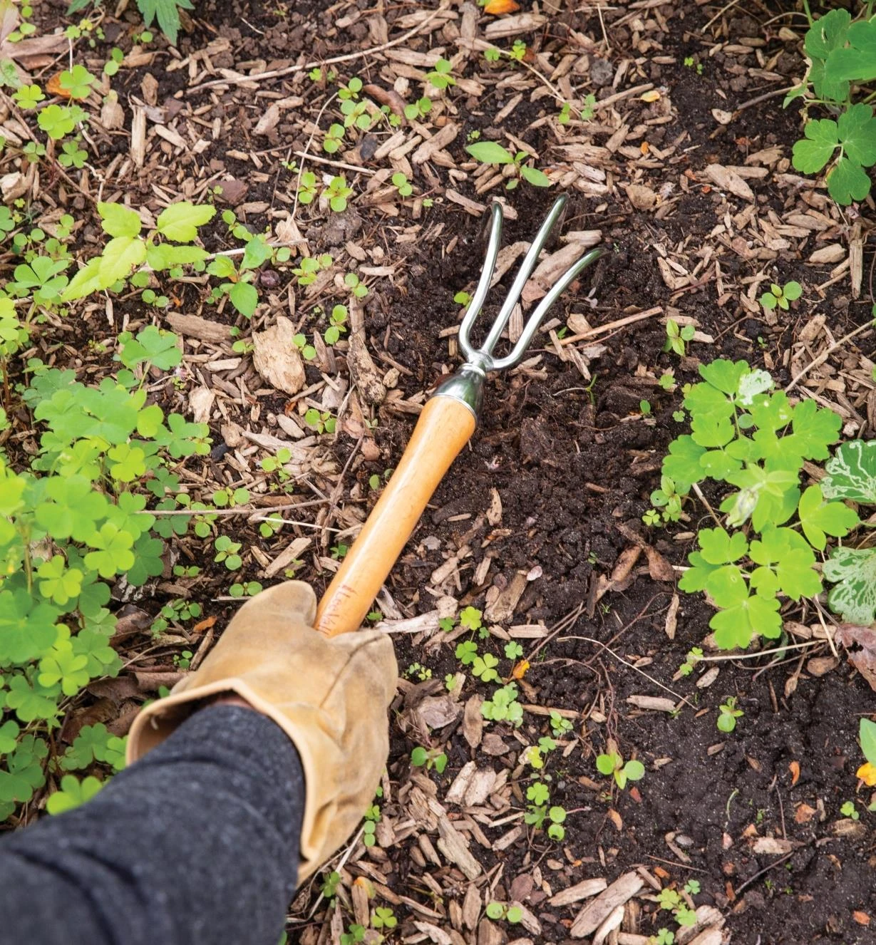 Lee Valley Mid-Length Three-Prong Cultivator 5 Lee Valley Mid-Length Three-Prong Cultivator - Image 3