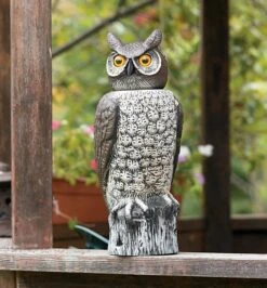 Garden Scare Owl -Garden Tool Store AT235 garden scare owl u 01 r