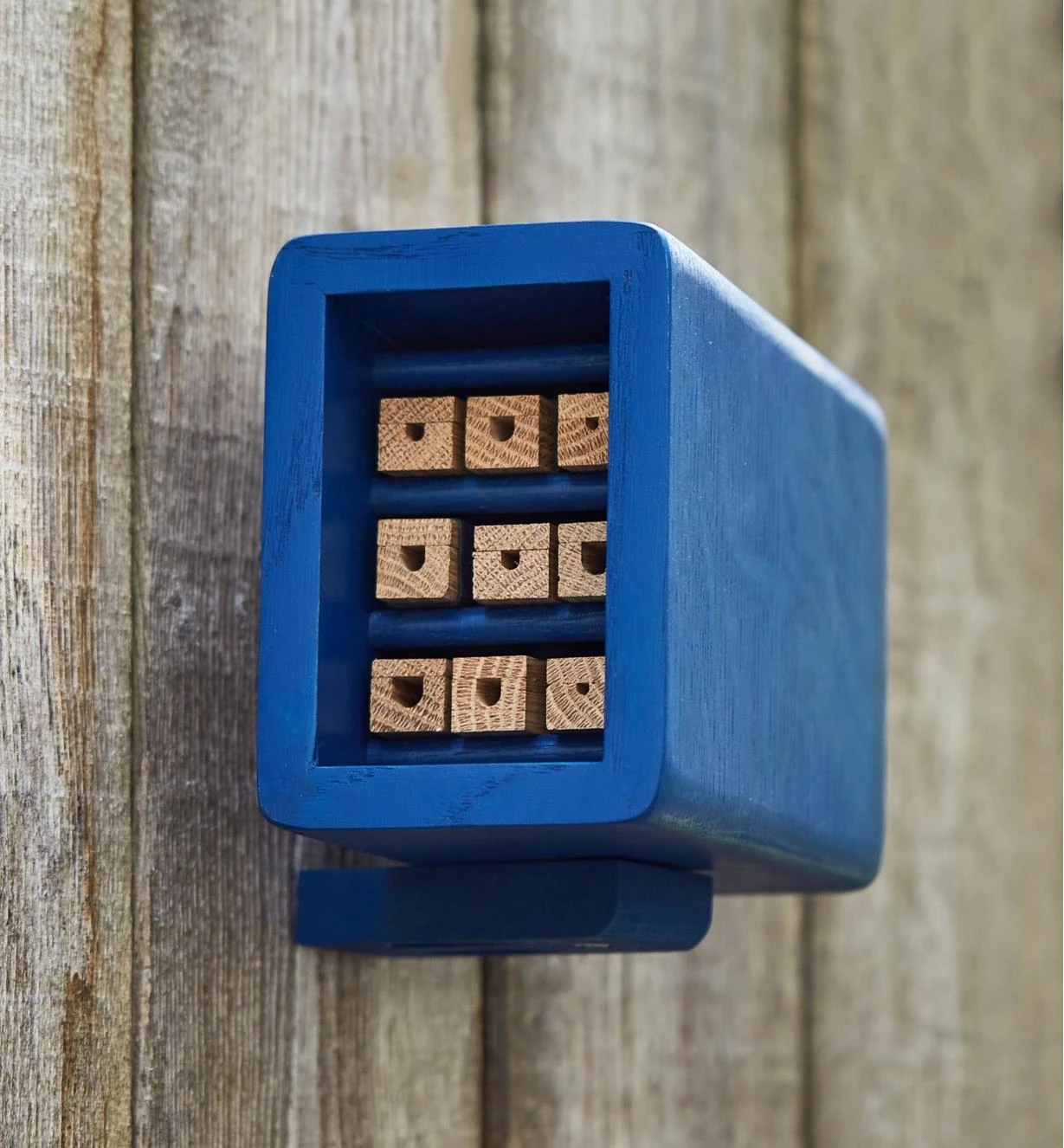 Solitary Bee Home 4 Solitary Bee Home - Image 2