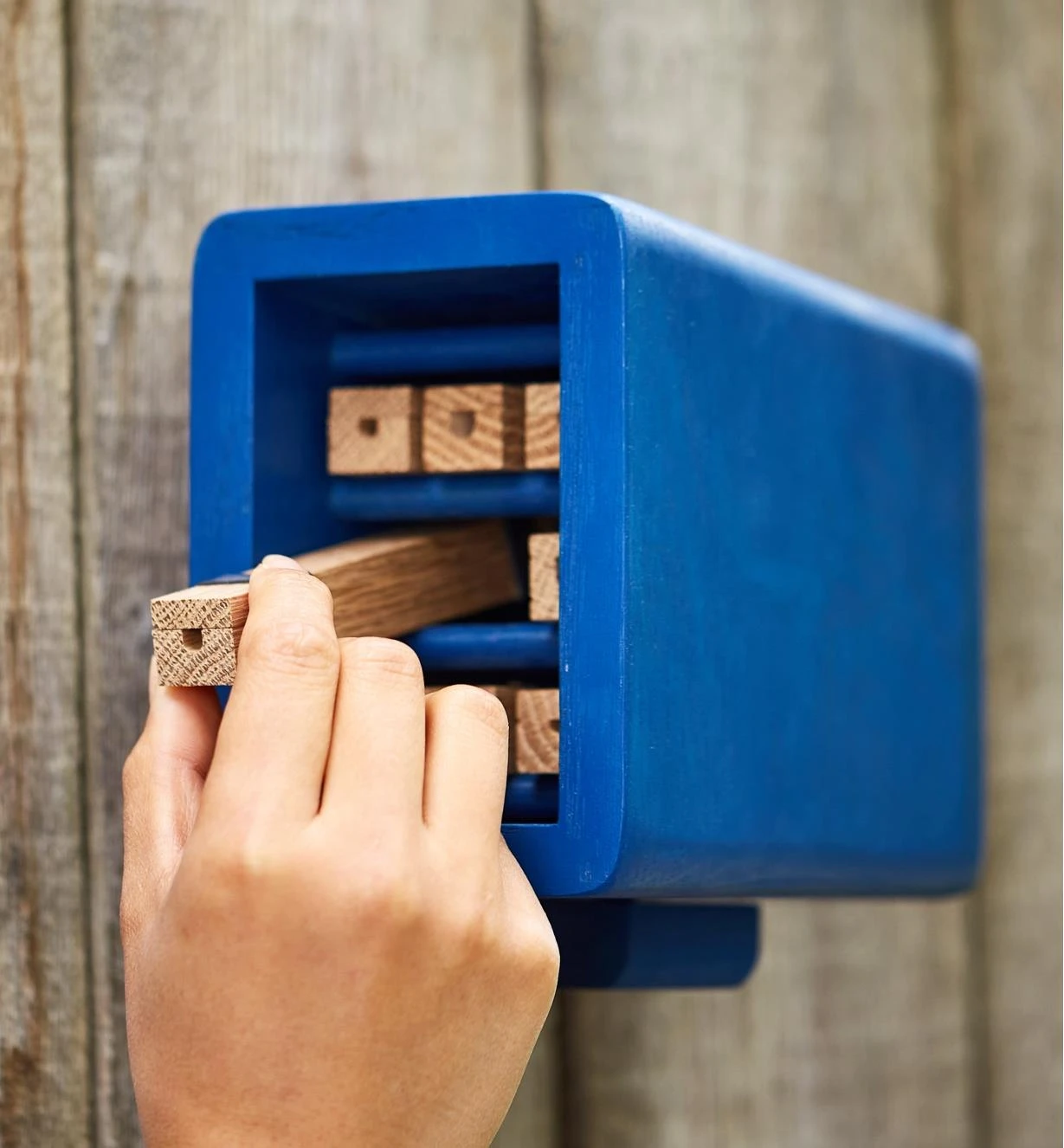 Solitary Bee Home 7 Solitary Bee Home - Image 5