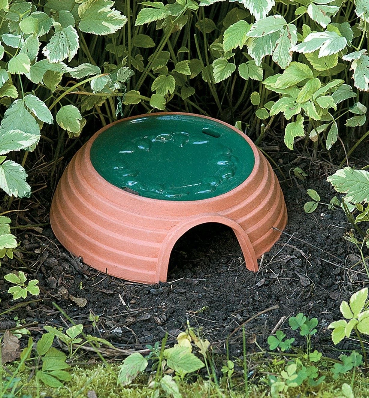 Lee Valley Toad House 3 Lee Valley Toad House