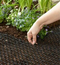 CatScat Mat -Garden Tool Store BL662 catscat mat u 0135