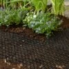 CatScat Mat 2 CatScat Mat -Garden Tool Store BL662 catscat mat u 0137