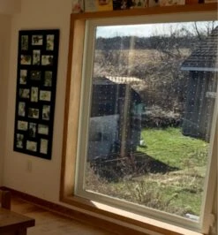 Feather Friendly Window Collision Tape -Garden Tool Store BR303 feather friendly window collision tape u 0003