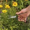 Forged Flower Snips 2 Forged Flower Snips -Garden Tool Store EB125 forged flower snips u 123