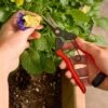 Garden Snips -Garden Tool Store EB126 u 0147