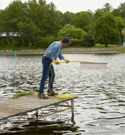 Weed Raker -Garden Tool Store EC425 weed rakert u 03