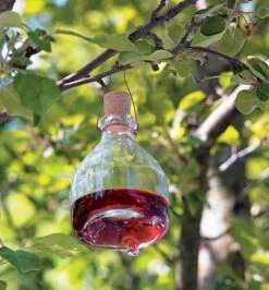 Hanging Wasp Trap -Garden Tool Store EM230 hanging wasp trap u 01 r