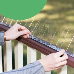 BIRD BLINDER Steel Bird Spikes For Pigeons And Other Small Birds, Silver Set Of 10 -Garden Tool Store GUEST 091ca80d 3b93 4adc 8d29 82dec99f808d