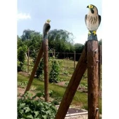 Bird-X Bird Decoy - Falcon