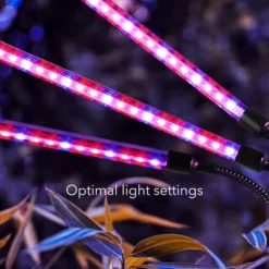 Dartwood LED Grow Lights For Indoor Plants With Red Blue Spectrum - Plant Grow Light With 9 Brightness Levels, Auto On Off Function -Garden Tool Store GUEST 64e7f763 cf31 4488 8e7b 2876844a1da3