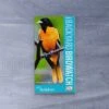 Audubon Pocket Backyard Birdwatch