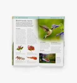 Audubon Pocket Backyard Birdwatch -Garden Tool Store LA906 audubon pocket backyard birdwatch f 05