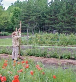 Deer Fence -Garden Tool Store PA210 deer fence 7 foot x 100 foot u 0003