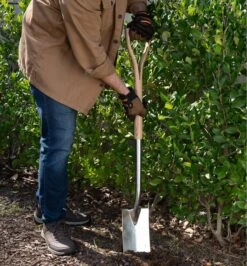 Spade & Fork 12 Spade & Fork -Garden Tool Store PG165 stainless steel wood handled border spade and fork u 0009