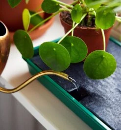 Self-Watering Windowsill Tray 10 Self-Watering Windowsill Tray -Garden Tool Store PL650 plant trays pr u 0059
