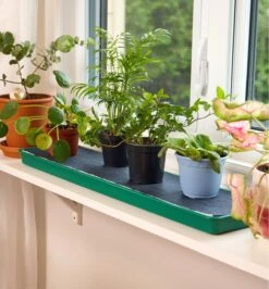 Self-Watering Windowsill Tray 9 Self-Watering Windowsill Tray -Garden Tool Store PL650 self watering windowsill tray u 1277