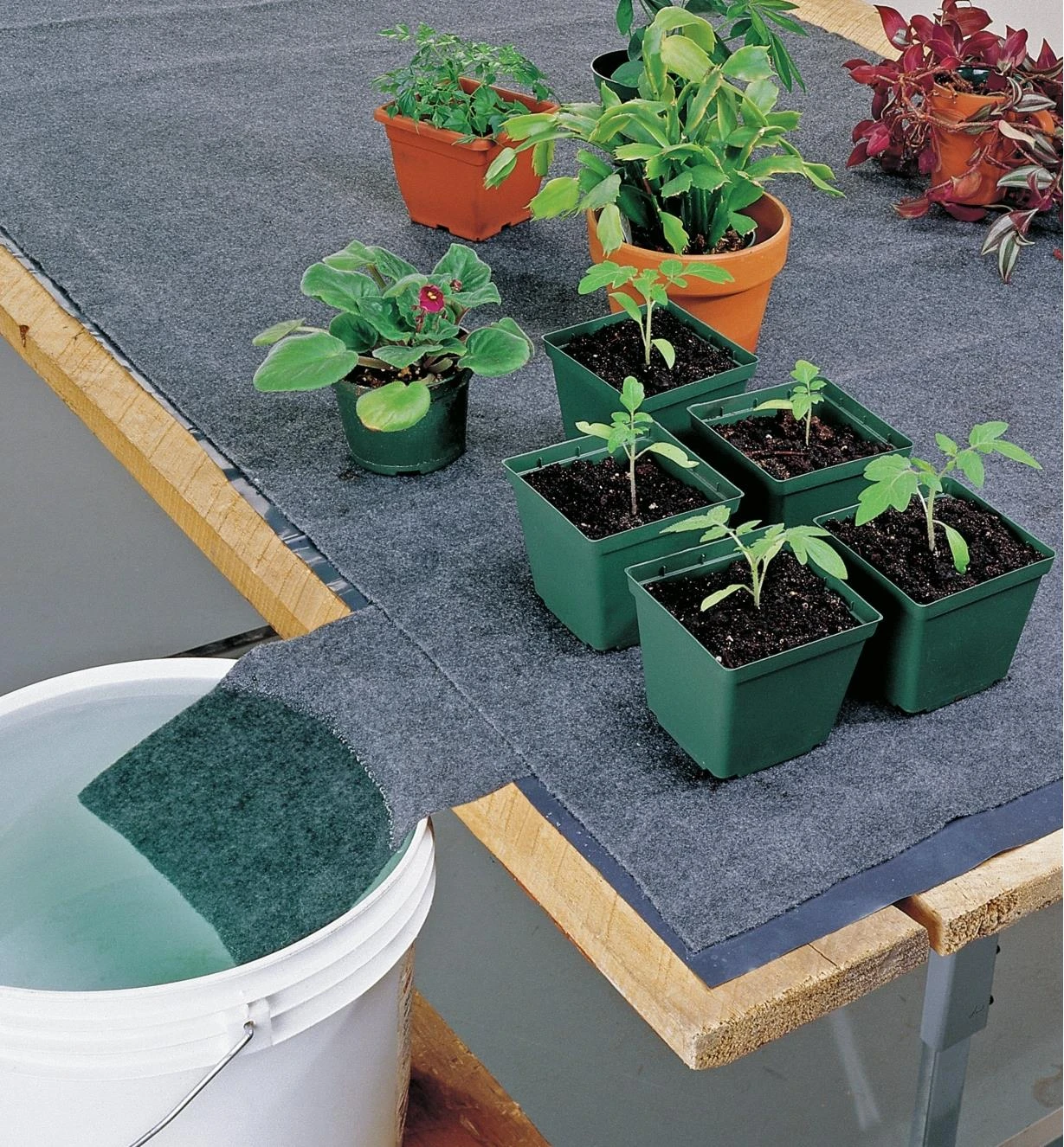 Watering Mat 3 Watering Mat