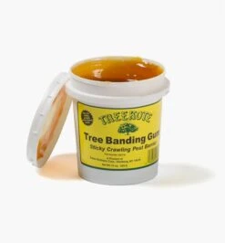Tree Banding Gum