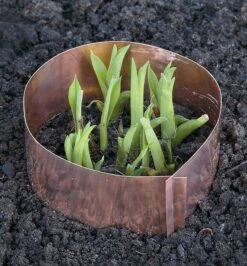 Copper Slug Rings 5 Copper Slug Rings -Garden Tool Store SS412 copper slug rings u 01 r