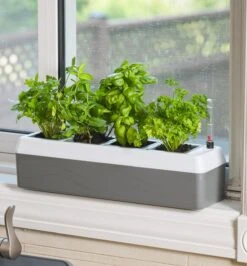 Self-Watering Windowsill Planter 10 Self-Watering Windowsill Planter -Garden Tool Store XB673 u 0261