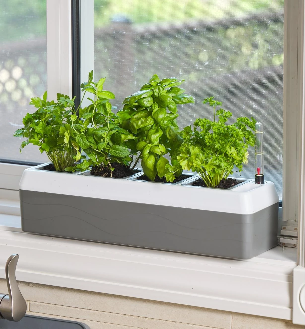 Self-Watering Windowsill Planter 6 Self-Watering Windowsill Planter - Image 4