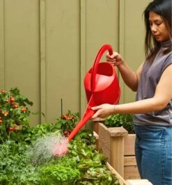 5 Litre Watering Can 12 5 Litre Watering Can -Garden Tool Store XB981 u 0074