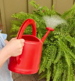 5 Litre Watering Can 14 5 Litre Watering Can -Garden Tool Store XB981 u 0095