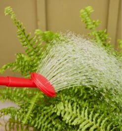 5 Litre Watering Can