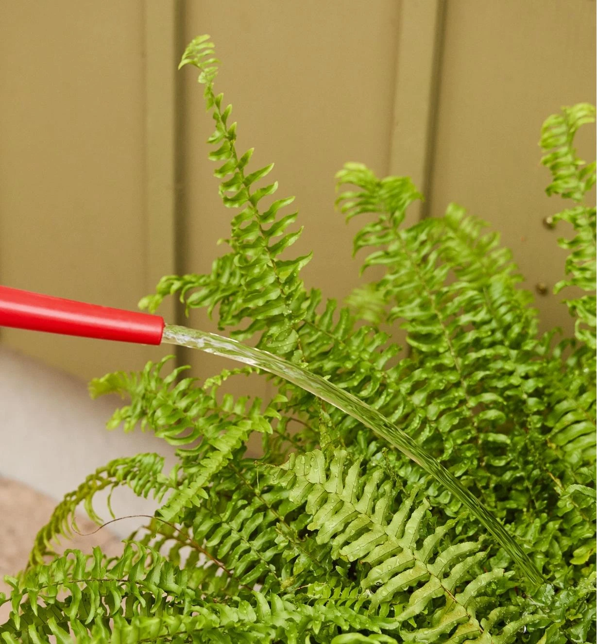 5 Litre Watering Can 4 5 Litre Watering Can - Image 2