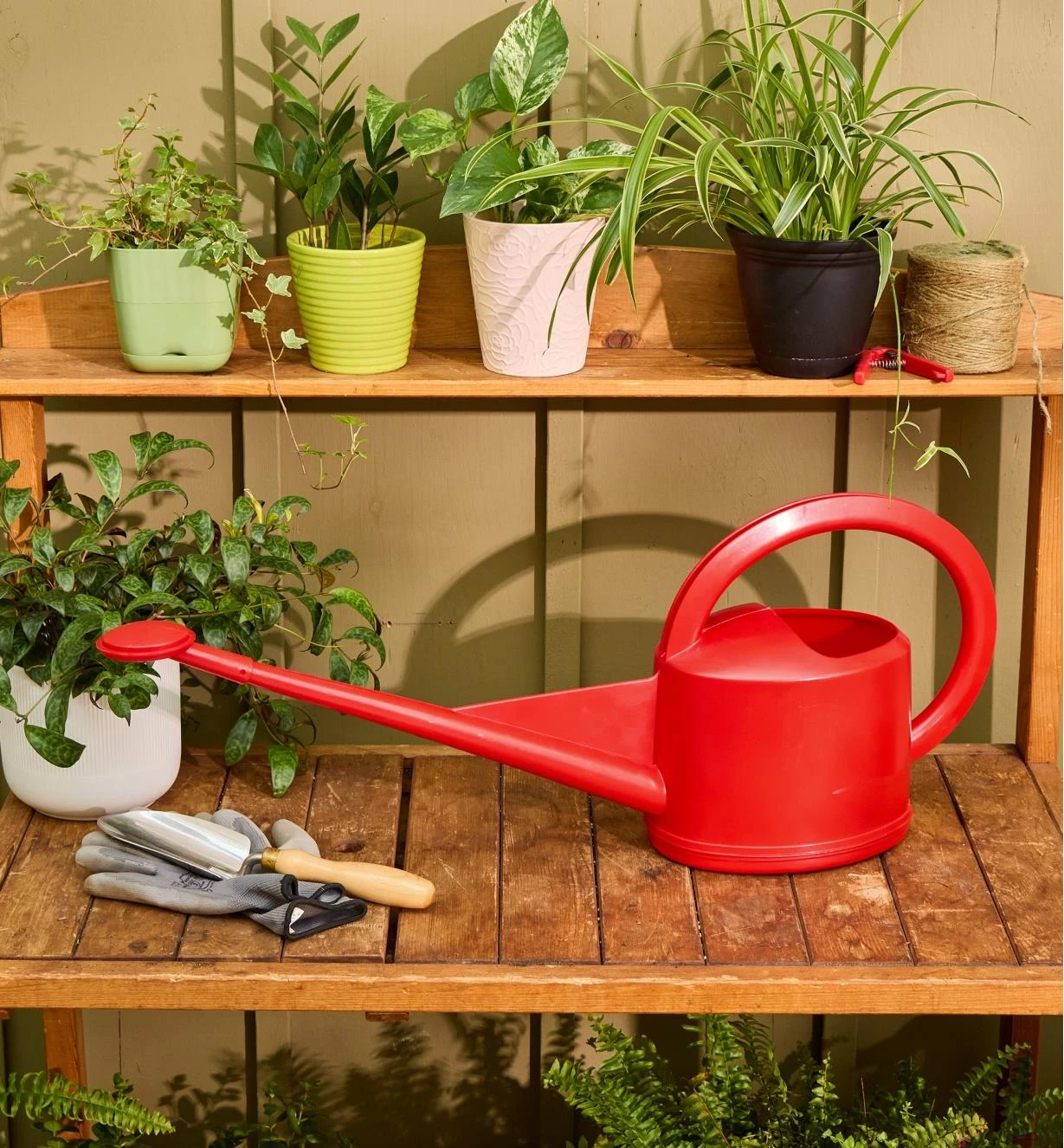 5 Litre Watering Can 5 5 Litre Watering Can - Image 3