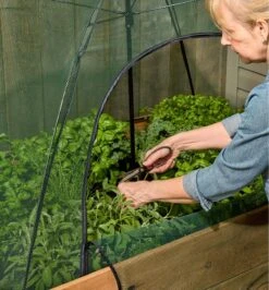 Umbrella Plant Dome -Garden Tool Store XC514 u 3360