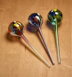 Watering Bulb 6 Watering Bulb -Garden Tool Store xc479 watering bulb d 0012