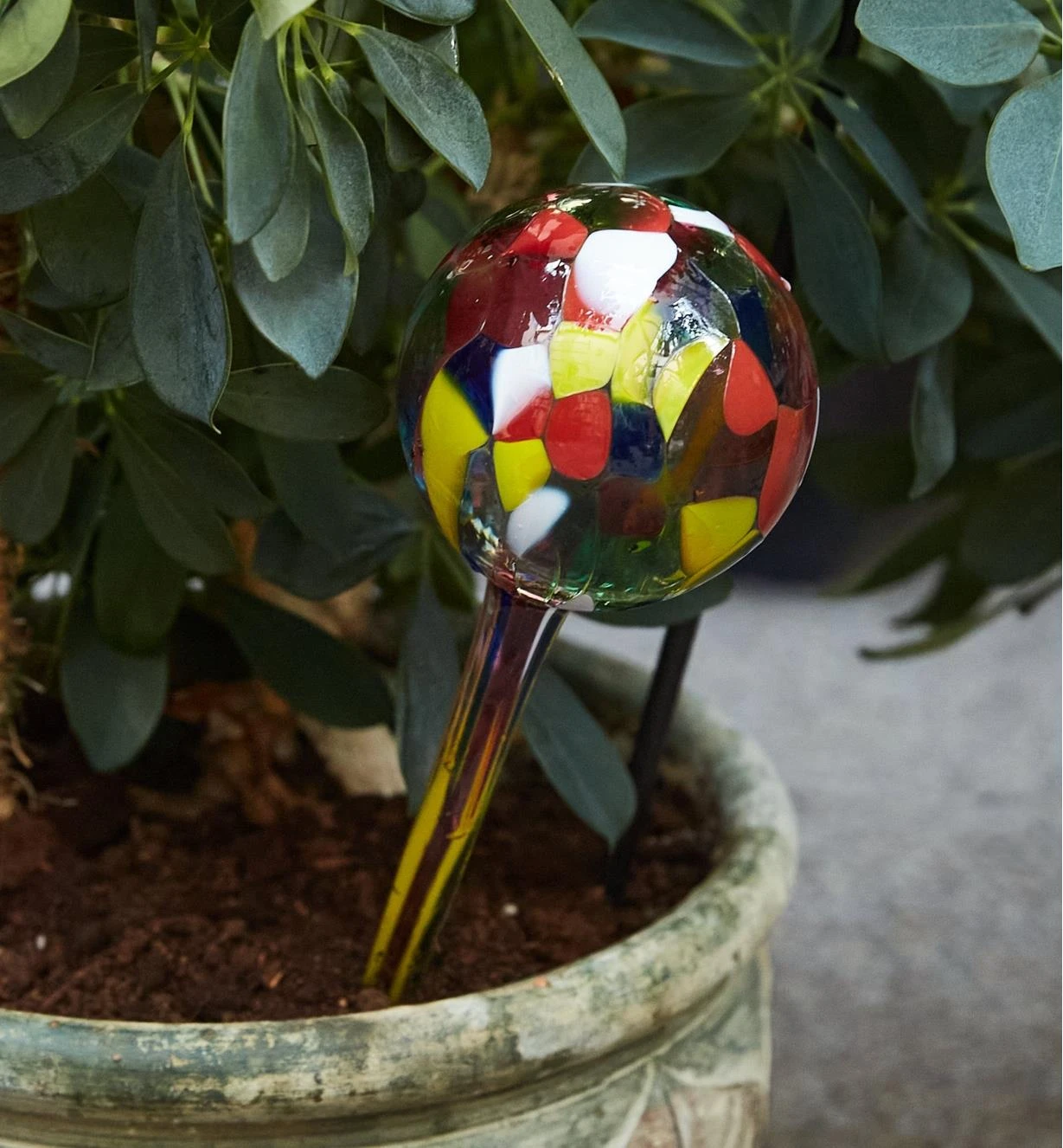 Watering Bulb 3 Watering Bulb